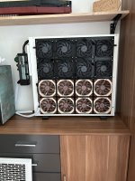 IMG_2895.jpeg IMG_2895.jpeg