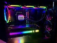 IMG_0246.jpeg IMG_0246.jpeg