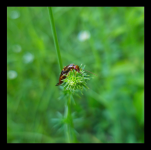 LRM_20250530_174857 3.png LRM_20250530_174857 3.png