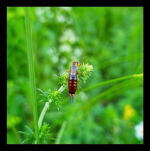 LRM_20250530_174825 3.png LRM_20250530_174825 3.png