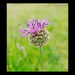 LRM_20250529_132803.png LRM_20250529_132803.png