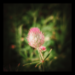 untitled-190009 1.png untitled-190009 1.png