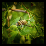 untitled-184008 1.png untitled-184008 1.png