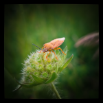 untitled-191056.png untitled-191056.png