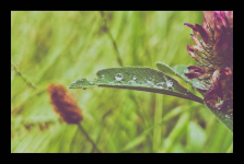 LRM_20250531_185747 2.png LRM_20250531_185747 2.png