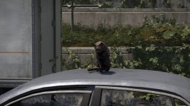 TheDivision2_2025_06_09_20_38_58_492.jpg TheDivision2_2025_06_09_20_38_58_492.jpg