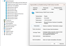 Treiber Realtek neu .png