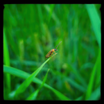 LRM_20250612_084348.png LRM_20250612_084348.png