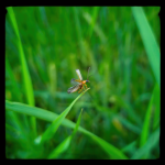 LRM_20250612_084349.png LRM_20250612_084349.png