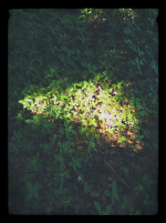 LRM_20250612_100722.png LRM_20250612_100722.png