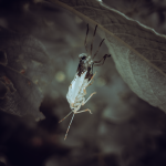 untitled-140026 1.png untitled-140026 1.png