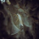 untitled-140229 1.png untitled-140229 1.png