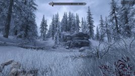 Skyrim Special Edition 21.06.2025 08_38_43.jpg