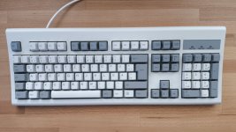 IMG_20250625_145334.jpg IMG_20250625_145334.jpg