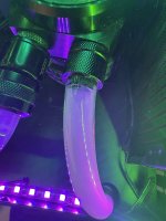 IMG_0821.JPG IMG_0821.JPG