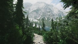 Lushfoil Photography Sim Demo_2024.12.26-12.28.jpg