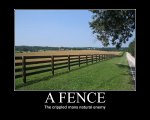 a fence.jpg