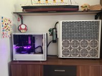 IMG_3125.jpeg IMG_3125.jpeg