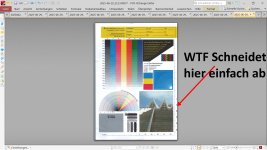 Bild 6.jpg