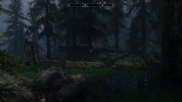 Skyrim Special Edition 05.07.2025 14_02_43.jpg