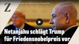 Screenshot 2025-07-09 at 13-42-40 Gespräch im Weißen Haus Benjamin Netanjahu schlägt Donald Tr...png
