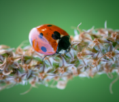 untitled--56.png untitled--56.png