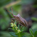 untitled--54.png untitled--54.png