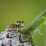 untitled--44.png untitled--44.png