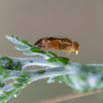 untitled--40.png untitled--40.png