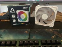 IMG_3593.jpeg IMG_3593.jpeg