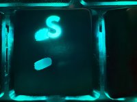 IMG_0841.jpeg IMG_0841.jpeg