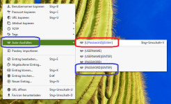 Auswahl Keepass.png Auswahl Keepass.png