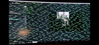 WhatsApp Bild 2025-10-03 um 00.44.05_6ad29566.jpg