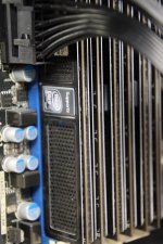 IMG_7778.jpg IMG_7778.jpg