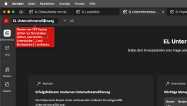 05 PDF Space Name mit Umlaut Problem.png