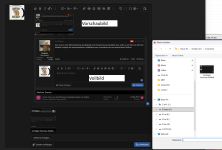 Einfügen Vorschau Vollbild.png