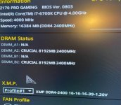 Mittel (IMG_0526).jpeg