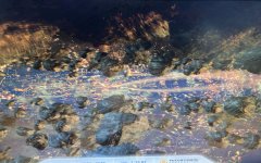 3dvant2.jpg 3dvant2.jpg