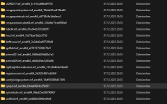 2025-12-07 23_28_36-Driver – Datei-Explorer.png 2025-12-07 23_28_36-Driver – Datei-Explorer.png