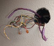 1000089196.jpg 1000089196.jpg