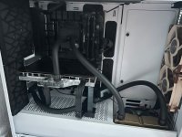 IMG_4556.jpeg IMG_4556.jpeg