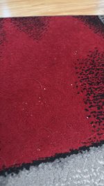 CAP_32764582-98E7-4F26-9C41-8E9651D5DED8.jpeg CAP_32764582-98E7-4F26-9C41-8E9651D5DED8.jpeg