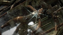 TombRaider_2025_01_05_19_42_07_780.jpg TombRaider_2025_01_05_19_42_07_780.jpg