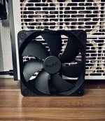 IMG_4783.jpeg IMG_4783.jpeg