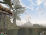 Morrowind 2010-07-21 13-22-01-79.jpg