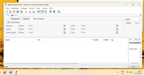AgentRansack oder Datumsangaben.png