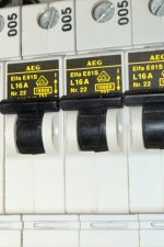 IMG_6875.jpeg IMG_6875.jpeg