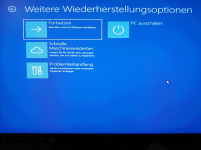 4. Wiederherstellungsoptionen.png