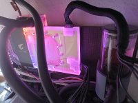 IMG_20260321_152451_181.jpg IMG_20260321_152451_181.jpg