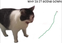 1774979096540.png 1774979096540.png